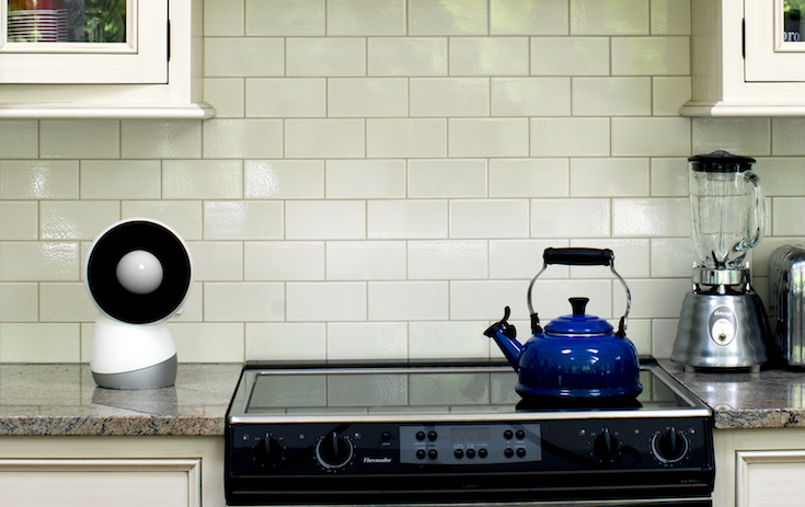 jibo01